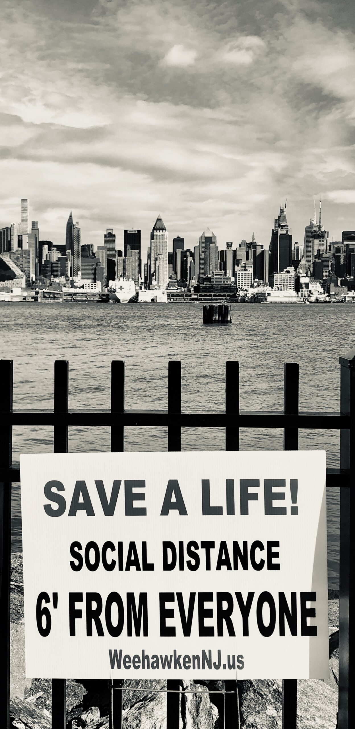 Viva NYC Amplifier Community